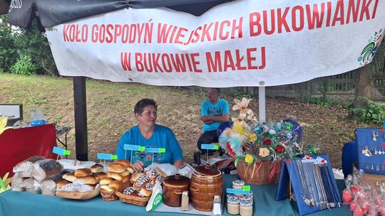 Gm. Chełm. „Fuzję Kultur 2025”. Trochę muzyki, trochę zabawy [GALERIA ZDJĘĆ]