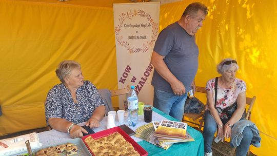 Gm. Chełm. „Fuzję Kultur 2025”. Trochę muzyki, trochę zabawy [GALERIA ZDJĘĆ]