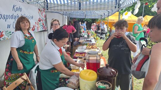 Gm. Chełm. „Fuzję Kultur 2025”. Trochę muzyki, trochę zabawy [GALERIA ZDJĘĆ]