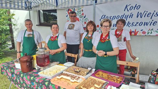 Gm. Chełm. „Fuzję Kultur 2025”. Trochę muzyki, trochę zabawy [GALERIA ZDJĘĆ]