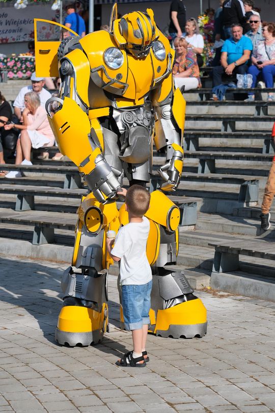 Gm. Chełm. „Fuzję Kultur 2025”. Trochę muzyki, trochę zabawy [GALERIA ZDJĘĆ]