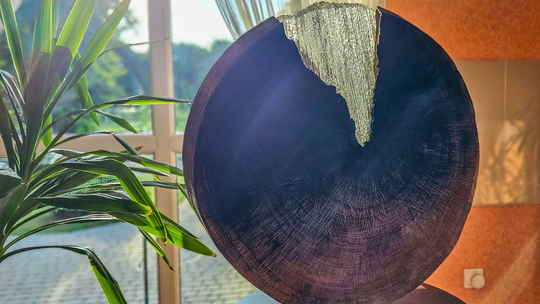 Wernisaż prac poplenerowych „Żółte w zielonym – rzecz o Lubelskim Bursztynie” [GALERIA ZDJĘĆ]