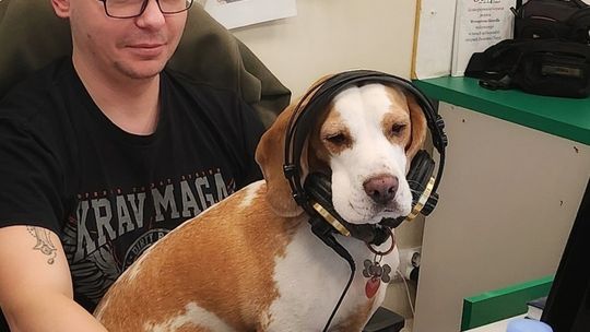 Uśmiechnięte "mordki" naszych Czytelników! Dzień Psa podsumowany! [GALERIA ZDJĘĆ]