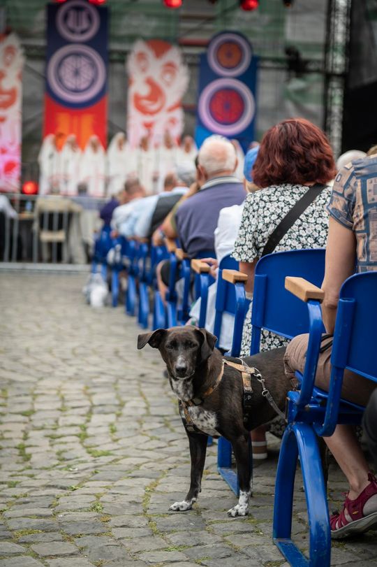 59. Ogólnopolski Festiwal Kapel i Śpiewaków Ludowych w Kazimierzu Dolnym [GALERIA ZDJĘĆ]