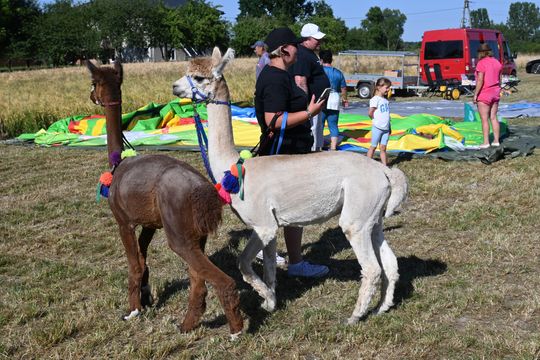Gm. Chełm. Jagodne się zapieniło! Powiatowy piknik rodzinny [GALERIA ZDJĘĆ]