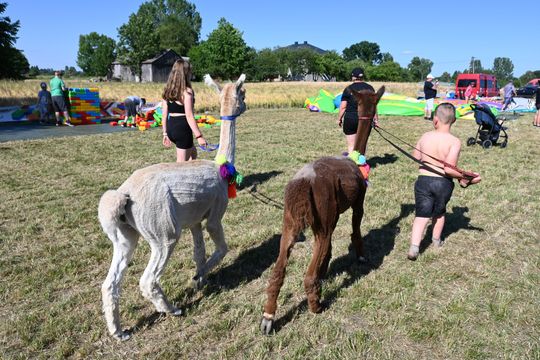 Gm. Chełm. Jagodne się zapieniło! Powiatowy piknik rodzinny [GALERIA ZDJĘĆ]