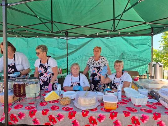Wakacyjny Piknik Rodzinny w Chojnie Nowym Drugim [GALERIA ZDJĘĆ]