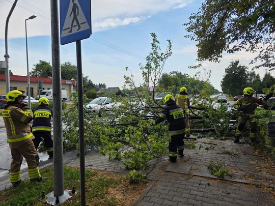 Zderzenie dwóch aut i powalone drzewo w Urszulinie [ZDJĘCIA]