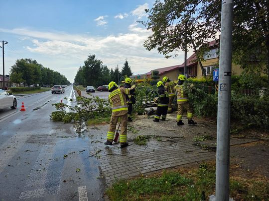 Zderzenie dwóch aut i powalone drzewo w Urszulinie [ZDJĘCIA]