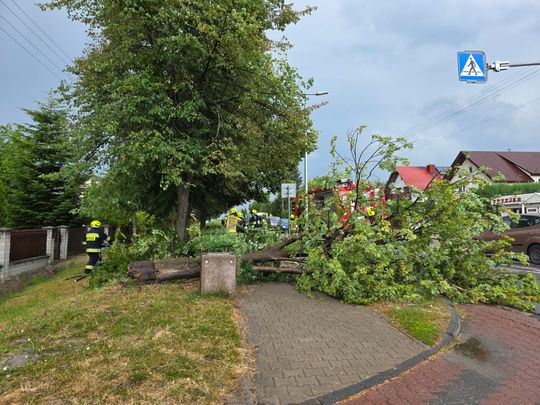 Zderzenie dwóch aut i powalone drzewo w Urszulinie [ZDJĘCIA]