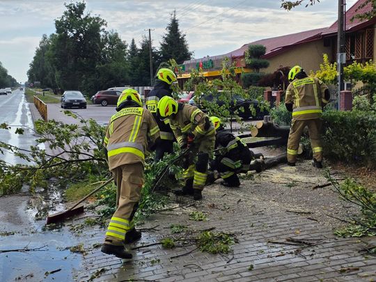 Zderzenie dwóch aut i powalone drzewo w Urszulinie [ZDJĘCIA]