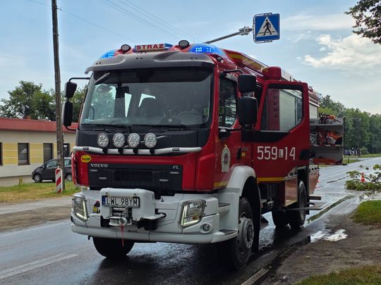 Zderzenie dwóch aut i powalone drzewo w Urszulinie [ZDJĘCIA]