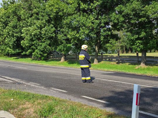 Zderzenie dwóch aut i powalone drzewo w Urszulinie [ZDJĘCIA]