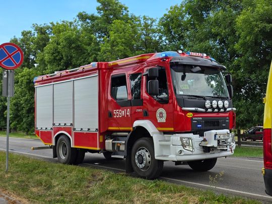 Zderzenie dwóch aut i powalone drzewo w Urszulinie [ZDJĘCIA]