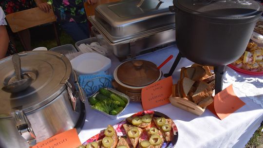 Żółkiewka. Smaki lata  z Czerwonymi Gitarami Cz. II [GALERIA ZDJĘĆ]