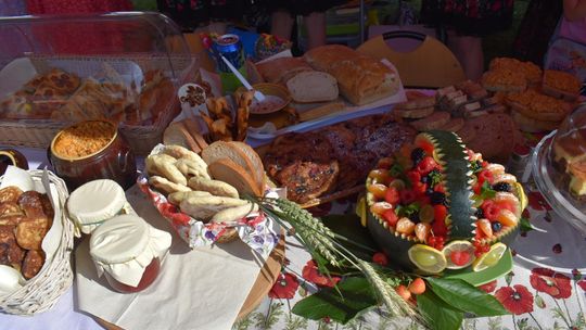 Żółkiewka. Smaki lata  z Czerwonymi Gitarami Cz. II [GALERIA ZDJĘĆ]