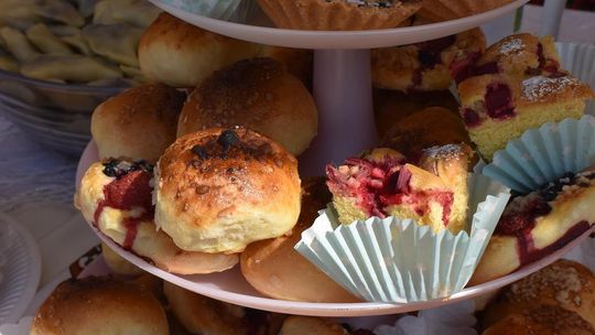 Żółkiewka. Smaki lata  z Czerwonymi Gitarami Cz. II [GALERIA ZDJĘĆ]