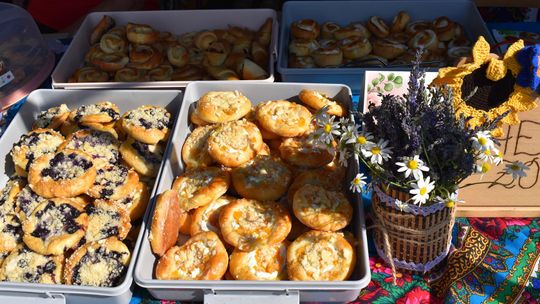 Żółkiewka. Smaki lata  z Czerwonymi Gitarami Cz. II [GALERIA ZDJĘĆ]