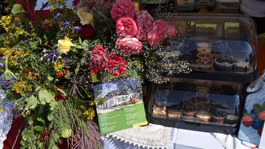 Żółkiewka. Smaki lata  z Czerwonymi Gitarami Cz. II [GALERIA ZDJĘĆ]