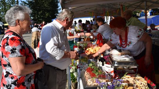 Żółkiewka. Smaki lata  z Czerwonymi Gitarami Cz. II [GALERIA ZDJĘĆ]
