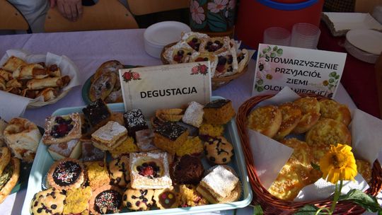 Żółkiewka. Smaki lata  z Czerwonymi Gitarami Cz. II [GALERIA ZDJĘĆ]