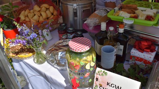 Żółkiewka. Smaki lata  z Czerwonymi Gitarami Cz. II [GALERIA ZDJĘĆ]