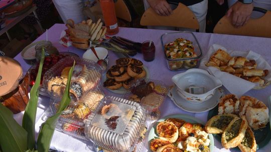 Żółkiewka. Smaki lata  z Czerwonymi Gitarami Cz. II [GALERIA ZDJĘĆ]