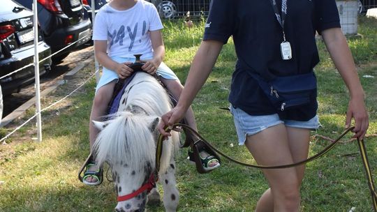 Żółkiewka. Smaki lata  z Czerwonymi Gitarami Cz. II [GALERIA ZDJĘĆ]