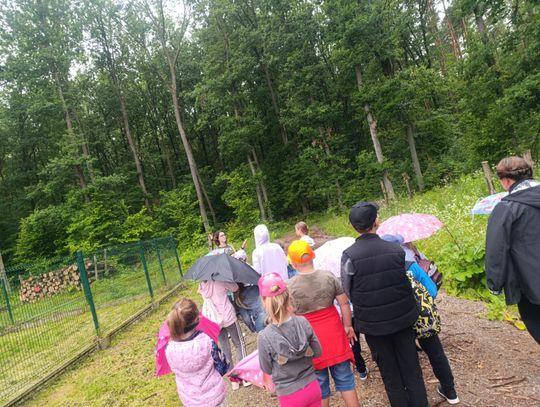 Gm. Rudnik. Wakacyjny projekt "Biblioteka w stylu eko" [GALERIA ZDJĘĆ] 