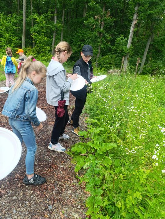Gm. Rudnik. Wakacyjny projekt "Biblioteka w stylu eko" [GALERIA ZDJĘĆ] 