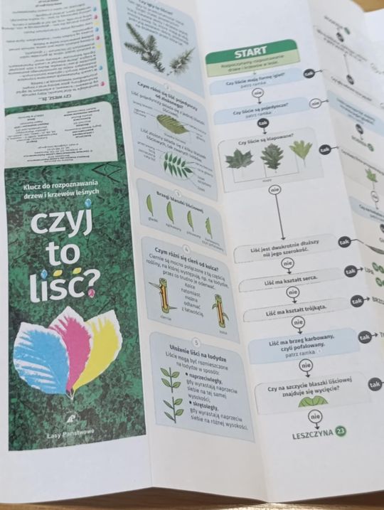 Gm. Rudnik. Wakacyjny projekt "Biblioteka w stylu eko" [GALERIA ZDJĘĆ] 