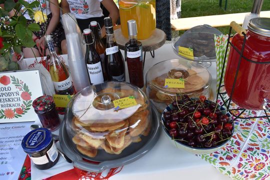 Żółkiewka. Smaki lata  z Czerwonymi Gitarami Cz. II [GALERIA ZDJĘĆ]