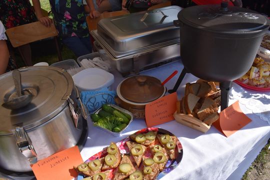 Żółkiewka. Smaki lata  z Czerwonymi Gitarami Cz. II [GALERIA ZDJĘĆ]