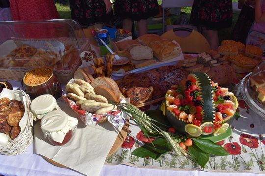 Żółkiewka. Smaki lata  z Czerwonymi Gitarami Cz. II [GALERIA ZDJĘĆ]