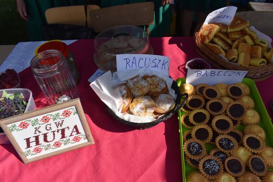 Żółkiewka. Smaki lata  z Czerwonymi Gitarami Cz. II [GALERIA ZDJĘĆ]