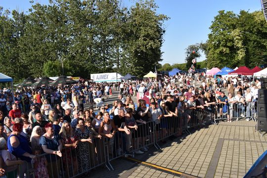 Żółkiewka. Smaki lata  z Czerwonymi Gitarami Cz. II [GALERIA ZDJĘĆ]