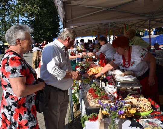 Żółkiewka. Smaki lata  z Czerwonymi Gitarami Cz. II [GALERIA ZDJĘĆ]