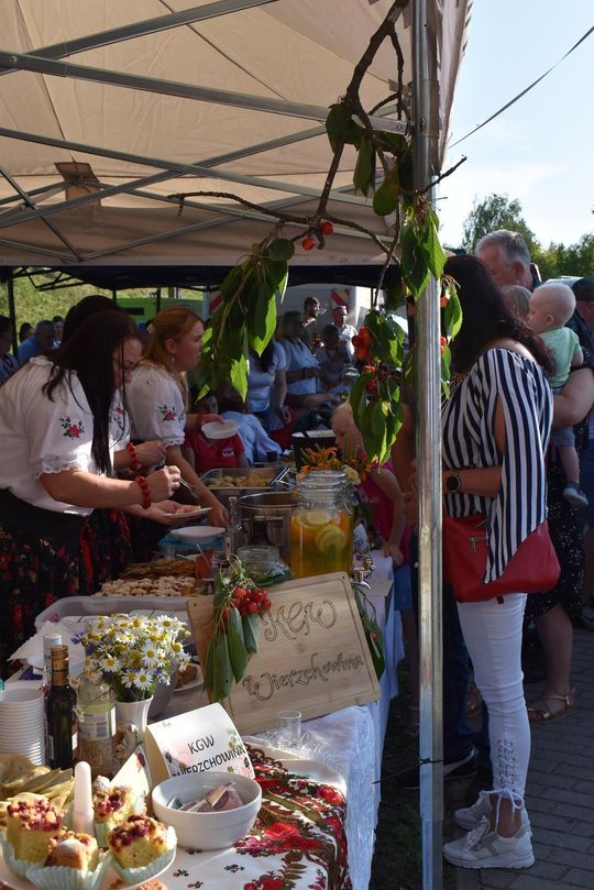 Żółkiewka. Smaki lata  z Czerwonymi Gitarami Cz. II [GALERIA ZDJĘĆ]