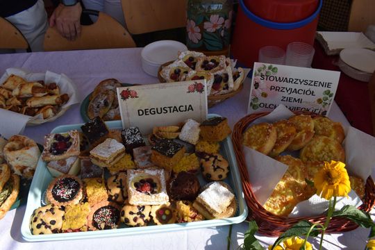 Żółkiewka. Smaki lata  z Czerwonymi Gitarami Cz. II [GALERIA ZDJĘĆ]