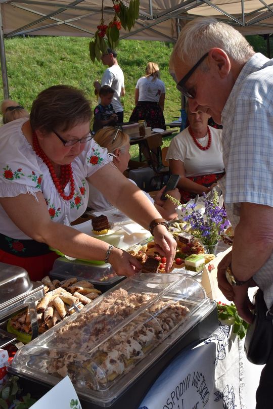 Żółkiewka. Smaki lata  z Czerwonymi Gitarami Cz. II [GALERIA ZDJĘĆ]