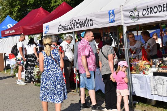 Żółkiewka. Smaki lata  z Czerwonymi Gitarami Cz. II [GALERIA ZDJĘĆ]