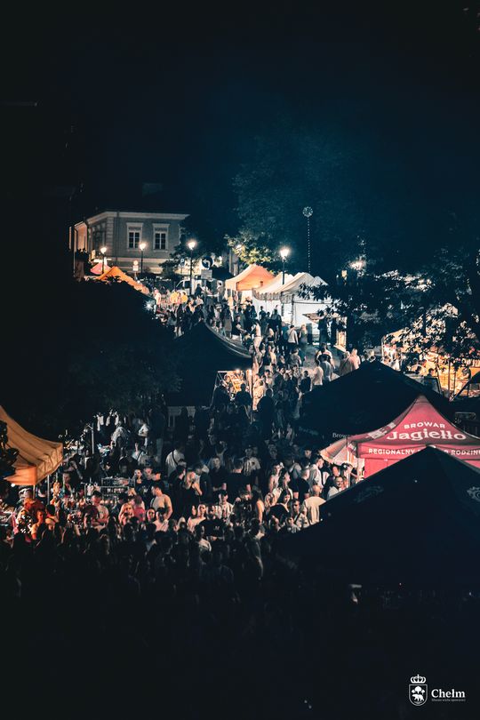Dni Chełma 2025. Tak chełmianie bawili się na koncertach! Cz. V [GALERIA ZDJĘĆ]