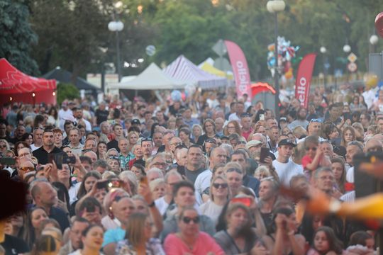 Dni Chełma 2025. Tak chełmianie bawili się na koncertach! Cz. V [GALERIA ZDJĘĆ]