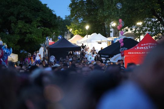 Dni Chełma 2025. Tak chełmianie bawili się na koncertach! Cz. V [GALERIA ZDJĘĆ]