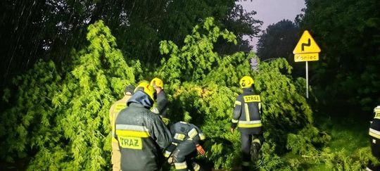 Krajobraz po burzy. Nawałnica przewracała drzewa, zrywała dachy [GALERIA ZDJĘĆ]