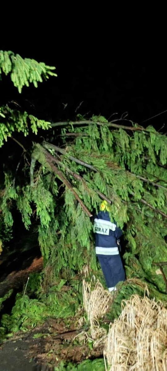 Krajobraz po burzy. Nawałnica przewracała drzewa, zrywała dachy [GALERIA ZDJĘĆ]