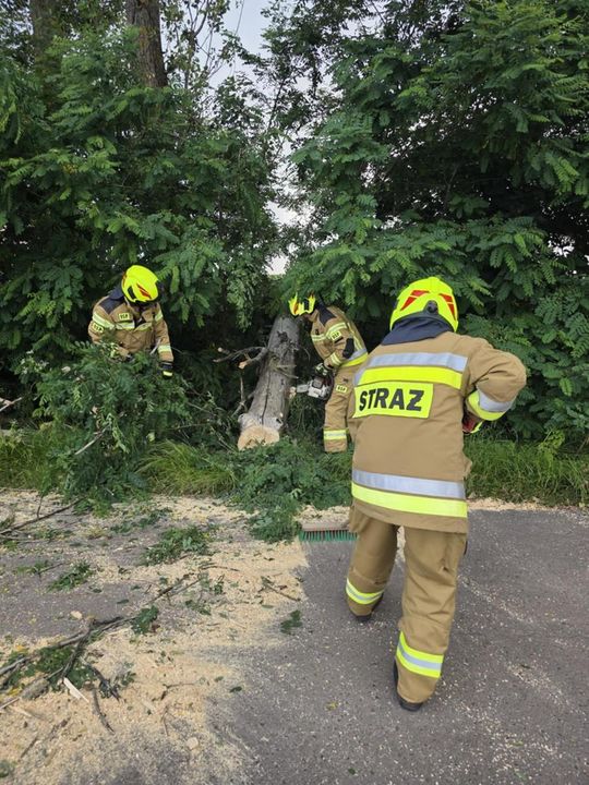 Krajobraz po burzy. Nawałnica przewracała drzewa, zrywała dachy [GALERIA ZDJĘĆ]