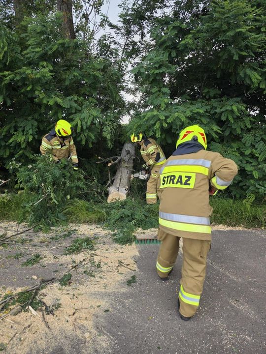 Krajobraz po burzy. Nawałnica przewracała drzewa, zrywała dachy [GALERIA ZDJĘĆ]