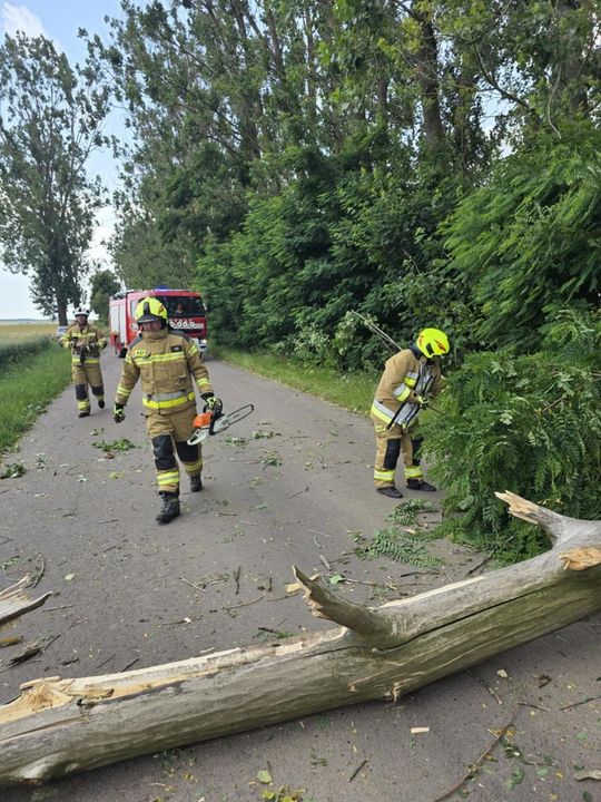 Krajobraz po burzy. Nawałnica przewracała drzewa, zrywała dachy [GALERIA ZDJĘĆ]