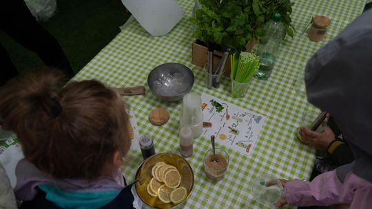 Włodawa. Jubileuszowe XXX Poleskie Lato z Folklorem 2025 [GALERIA ZDJĘĆ]